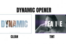 Dynamic Opener | AE 47889330