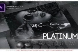 Platinum Digital Slideshow 49217376