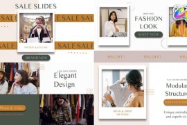 Sale Scenes | FCPX 45269060