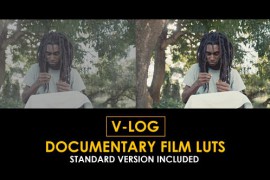 V-Log Documentary Film and Standard Color LUTs 51379205