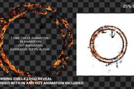 RwVfx - Fire Circle Pack 2 - 5 Video, 4000x4000, Alpha, 30fps 38098208