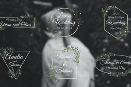 Elegant Wedding Titles 51755485