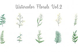 Watercolor floral elements Vol.2 33561795