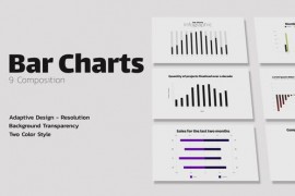 Infographic - Bar Charts / PR 47958974