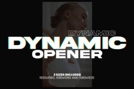 Dynamic Opener 44004294