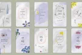 Wedding Invitation Stories | MOGRT 48997978