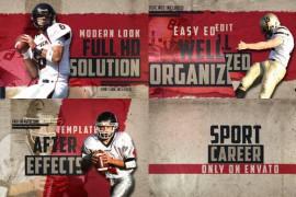 Sport Career 41504278
