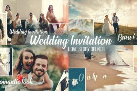 Wedding Invitation - Slideshow Opener 45191524