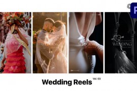 Wedding Reels for Premiere Pro Vol. 03 49365199