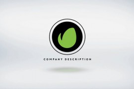 Elegant Logo Reveal 15 Premiere Pro 48998442