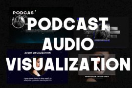 PodcastAudioVisualization 42164858