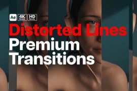 Premium Transitions Distorted Mirror 51444002
