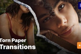 Paper Texture Transitions 50849997
