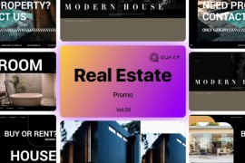 Real Estate Promo Vol. 05 48999934