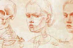 Anatomymasterclass – Anatomy for Artists