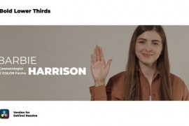 Bold Lower Thirds | DaVinci Resolve 46054432