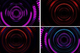 Looped Neon Circle Pack 50548836