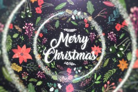 Christmas Titles 42172042