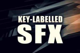 Function Loops Key Labelled SFX WAV-DISCOVER