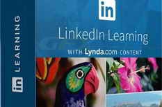 LinkedIn – Premiere Pro Guru Fixing Video Color and Exposure Problems
