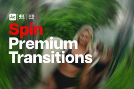 Premium Transitions Spin 49923205