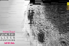 Wicked Glitch Advertisement 19231329
