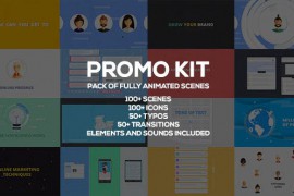 Promo Kit 12757139
