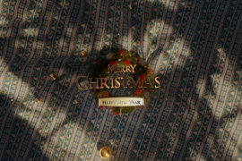 Christmas Wreath Logo 49078236