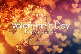 Valentine Day Backgrounds 2 50262436