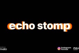 Echo Stomp Intro 48673632