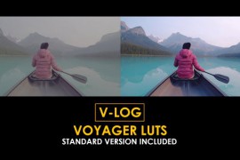 V-Log Voyager and Standard Color LUTs 51303323