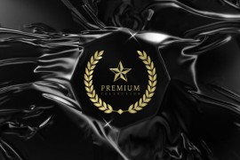 Elegant Reveal 52697939