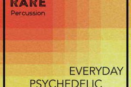 RARE Percussion Everyday Psychedelic Transitions Vol. 1 WAV-FANTASTiC