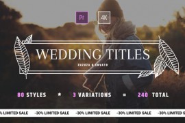 Wedding Titles 24973837