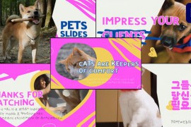 Slides Pets | Premiere Pro MOGRT 50957696
