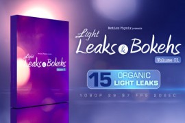 Light Leaks and Bokehs Vol 1 9822840