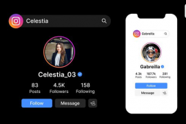 Instagram Search Bar, Profile, Result 52620655