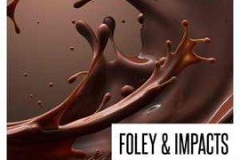 Concept Samples Foley and Impacts WAV-FANTASTiC