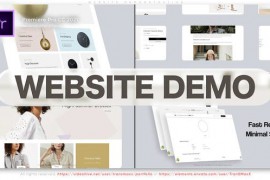 Website Demonstration 46488769