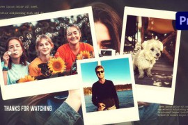 Photo Slideshow || MOGRT 44394265