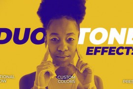 Duotone Color Effects 46012259