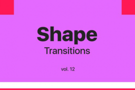 Shape Transitions Vol. 12 45533052