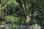 Maxtree Plant Models Vol.82