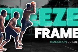 Animated Freeze Frame Transitions 48439713