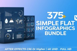 Simple Flat Infographics Bundle 20712532