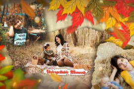 Autumn Slideshow 49556701