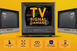 TV Signal Damage 51082060