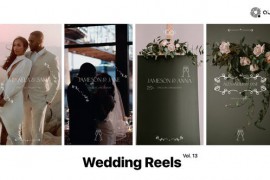 Wedding Reels Vol. 13 49308047