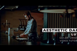 Aesthetic Dark LUTs 44017048