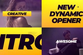 Dynamic Intro 29771963